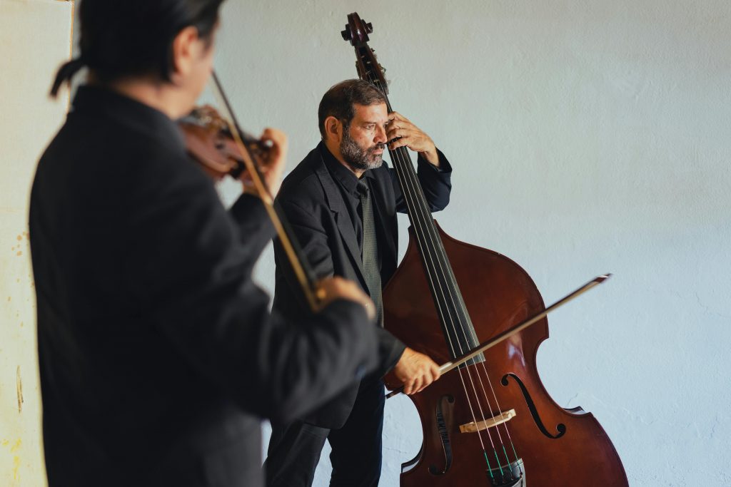 Two musicians performing with a double bass and violin in an intimate indoor setting.